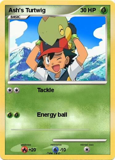 Pokemon Ash's Turtwig