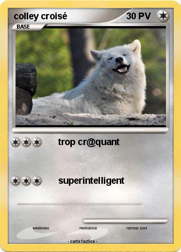 Pokemon colley croisé