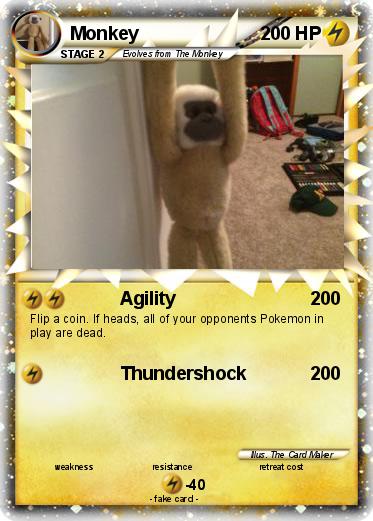 Pokemon Monkey