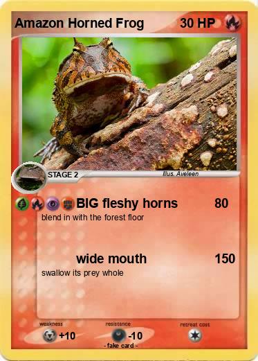 Pokemon Amazon Horned Frog