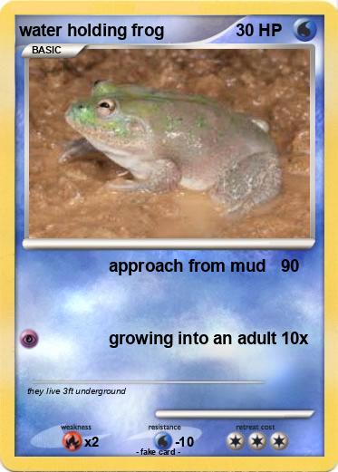 Pokemon water holding frog
