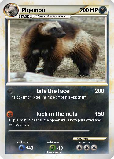 Pokemon Pigemon