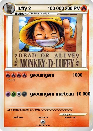 Pokemon luffy 2             100 000