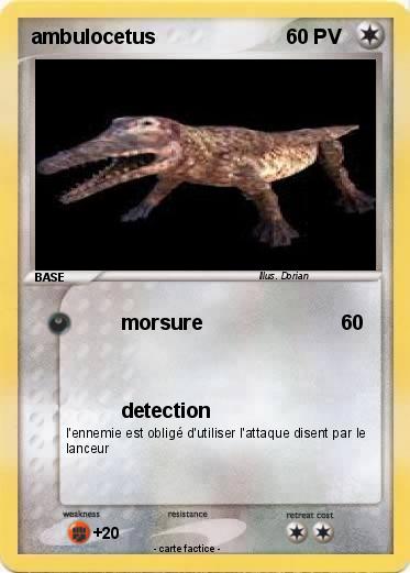 Pokemon ambulocetus