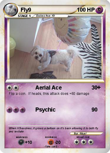 Pokemon Fly9