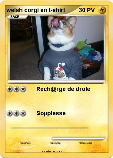 Pokemon welsh corgi en t-shirt