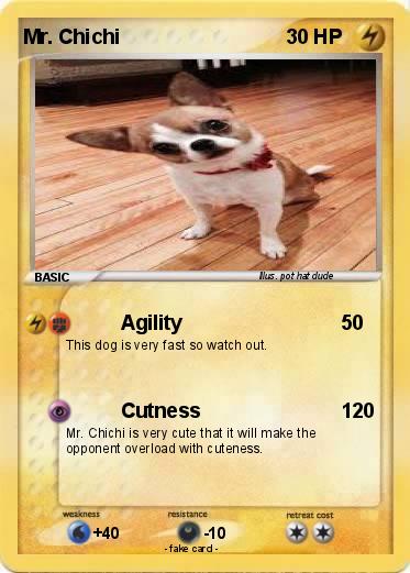 Pokemon Mr. Chichi