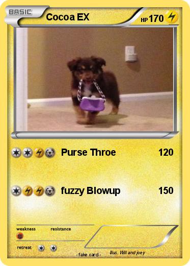 Pokemon Cocoa EX