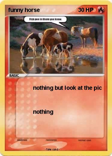 Pokemon funny horse