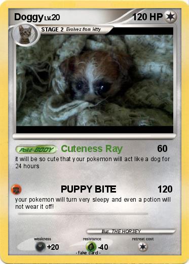 Pokemon Doggy