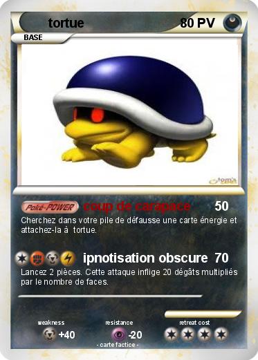Pokemon tortue