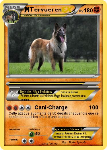 Pokemon Tervueren