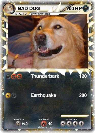 Pokemon BAD DOG