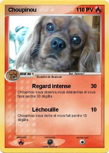 Pokemon Choupinou
