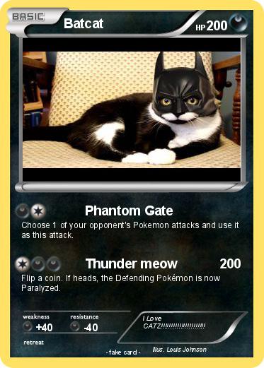Pokemon Batcat
