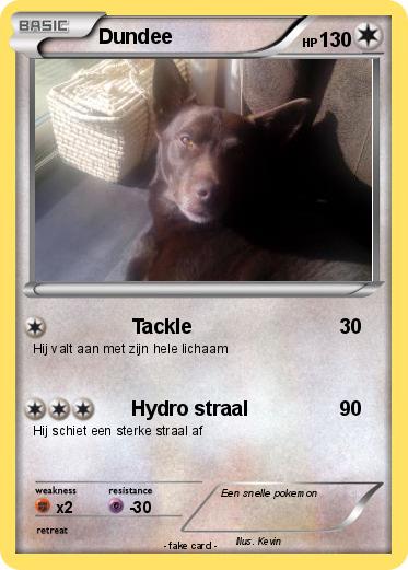 Pokemon Dundee