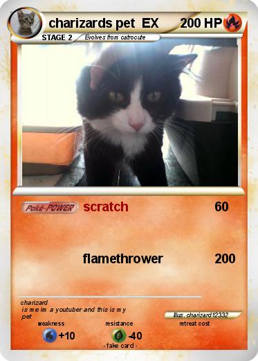 Pokemon charizards pet  EX