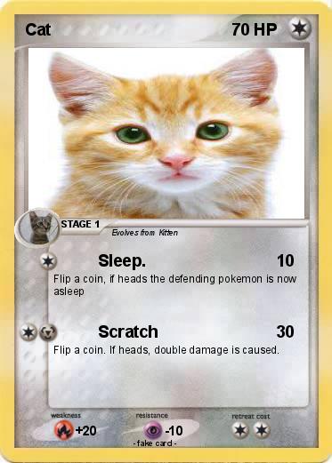 Pokemon Cat