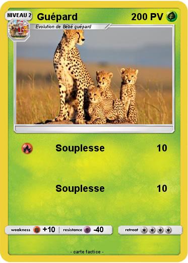 Pokemon Guépard
