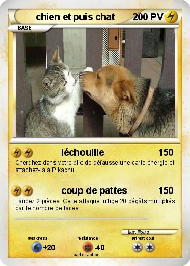 Pokemon chien et puis chat