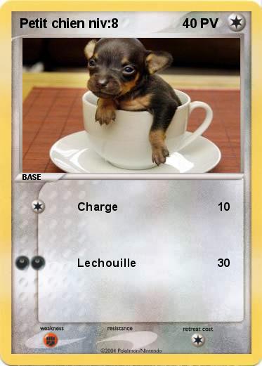 Pokemon Petit chien niv:8