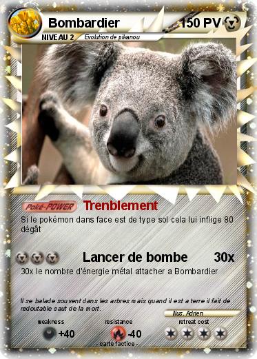 Pokemon Bombardier