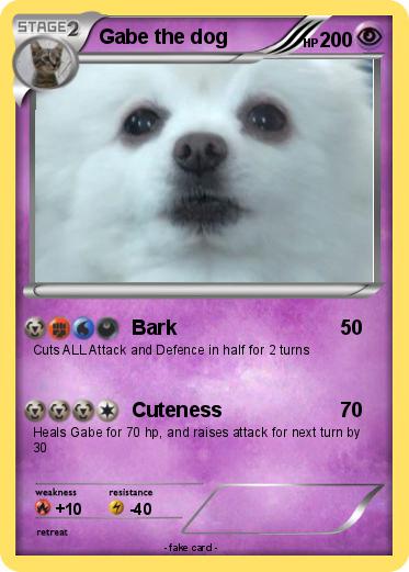 Pokemon Gabe the dog