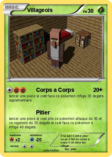 Pokemon Villageois