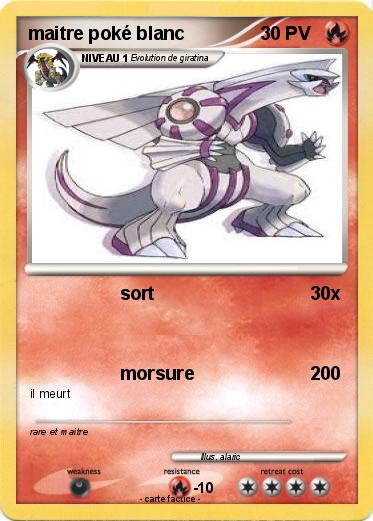 Pokemon maitre poké blanc