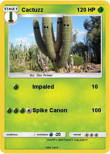 Pokemon Cactuzz