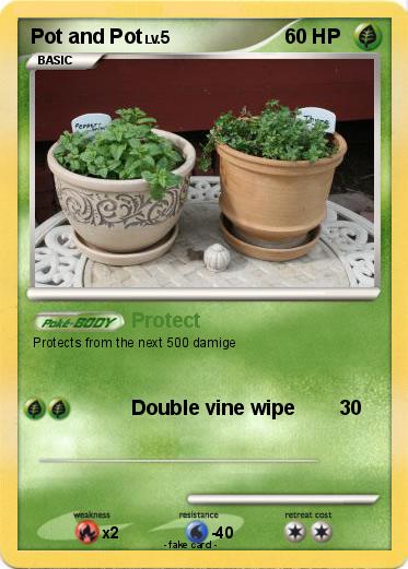 Pokemon Pot and Pot