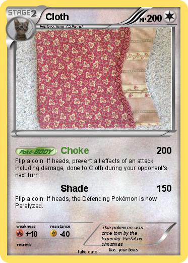 Pokemon Cloth