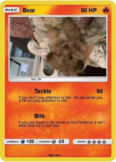 Pokemon Bear