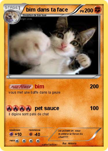 Pokemon bim dans ta face