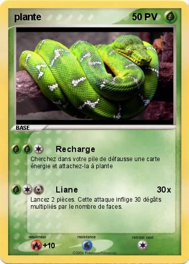 Pokemon plante