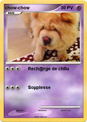 Pokemon chow-chow