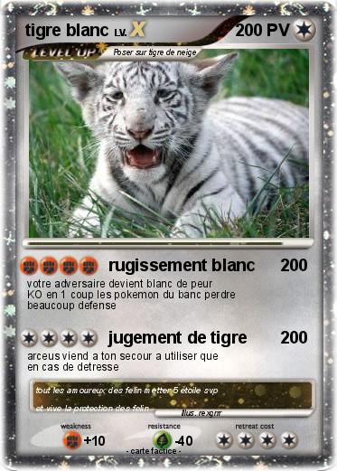 Pokemon tigre blanc
