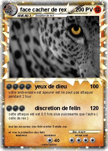 Pokemon face cacher de rex