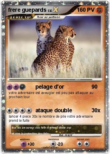 Pokemon frere guepards