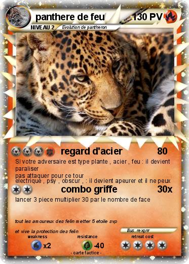 Pokemon panthere de feu