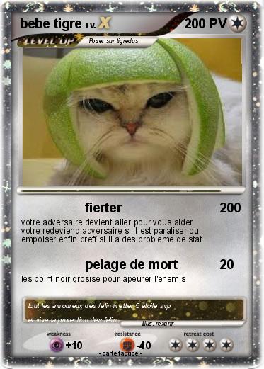 Pokemon bebe tigre