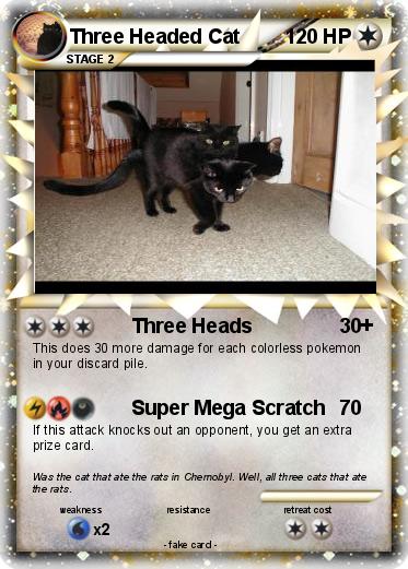 Pokemon Three Headed Cat