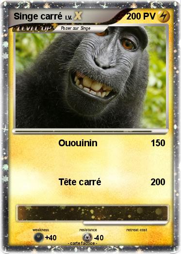 Pokemon Singe carré