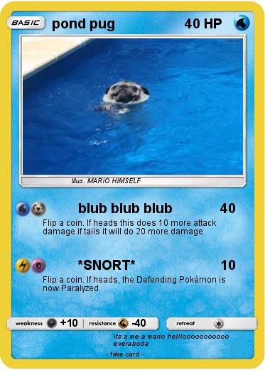 Pokemon pond pug