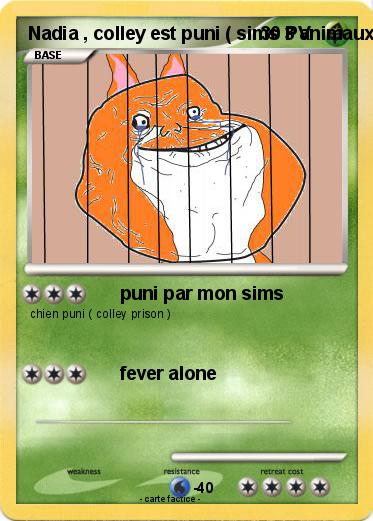 Pokemon Nadia , colley est puni ( sims 3 animaux & cie 3DS )