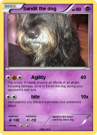 Pokemon bandit the dog
