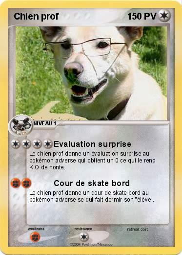 Pokemon Chien prof