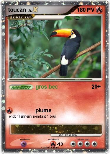 Pokemon toucan