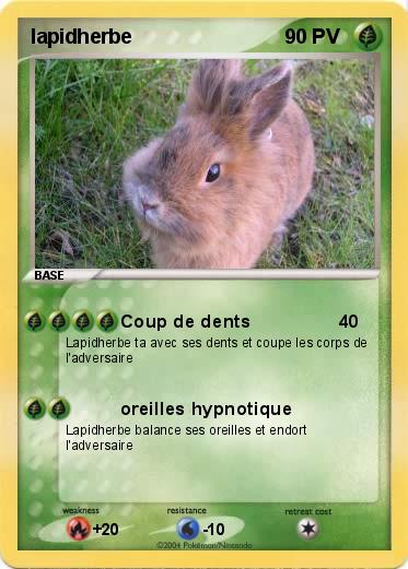 Pokemon lapidherbe