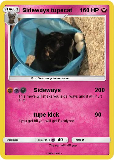 Pokemon Sideways tupecat